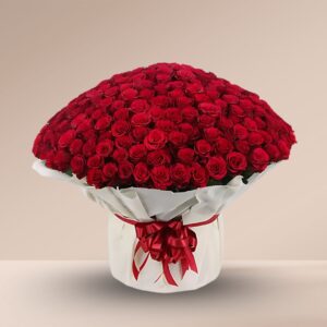 Bouquet of 500 Red Roses