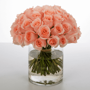 Bunch of Peach Roses