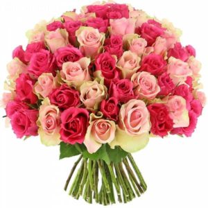 Lavish Pink Roses