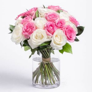 Lovely Pink and White Roses