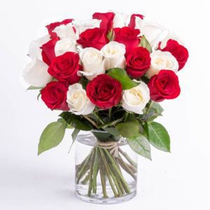 Lovely Red and White Roses