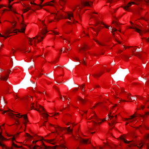 Red Rose Petals