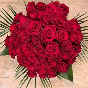 Romance of 50 Red Roses with Vase