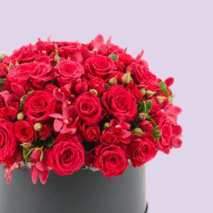 A round, black hat box filled with a large arrangement of red roses. The roses are densely packed together and create a dome shape. The box is sitting on a white platform against a light pink background.