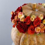 Gourd-geous Pumpkin-1