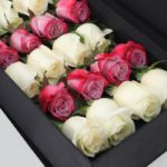 White & Deep Purple Roses in Black Box-2