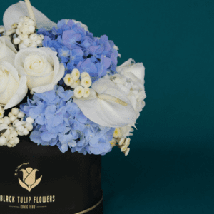 White and Blue Sky Flower box