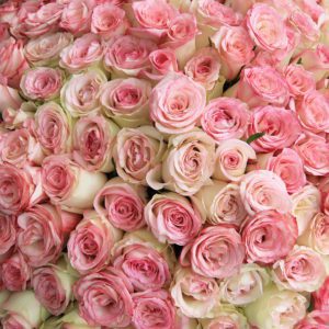 Sovereign Power bouquet by June Flowers