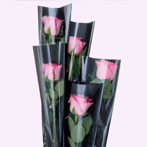 Rose Bunch in Sleeve