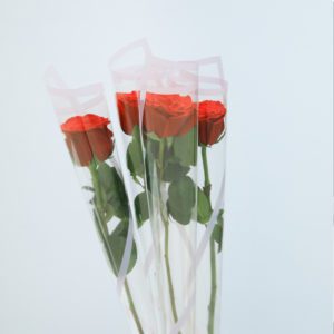 Single Wrapped Rose Bunch