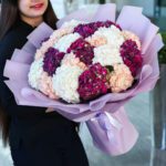 Aesthetic Hydarngeas