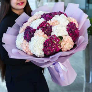 Aesthetic Hydarngeas