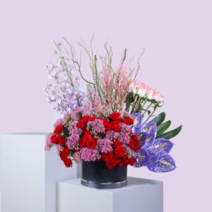 Red Rose delphinium Purple