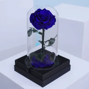 Single Blue Forever Rose