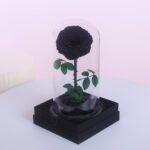A preserved black rose in a glass dome, sitting on a black gift box. The dome contains a few smaller black rose petals at the bottom
