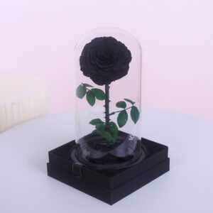 A preserved black rose in a glass dome, sitting on a black gift box. The dome contains a few smaller black rose petals at the bottom