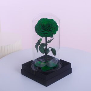 A preserved green rose in a glass dome, sitting on a black gift box. The dome contains a few smaller green rose petals at the bottom.