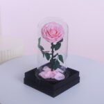 1Single-Pink-Forever-Rose