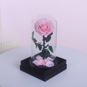 A single, preserved pink rose with a long stem and thorns, standing upright against a white background.