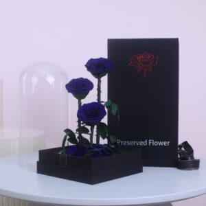 Blue Trio Forever Rose with box
