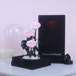 Trio Pink Forever Rose With Gift Box