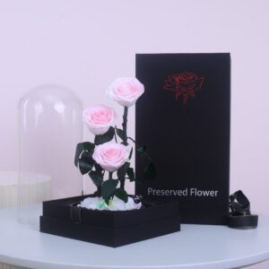 Trio Pink Forever Rose