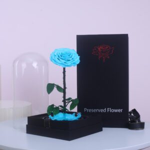 Single Light Blue Forever Rose