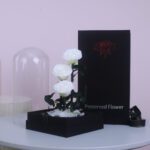 Trio Forever Rose With Gift Box
