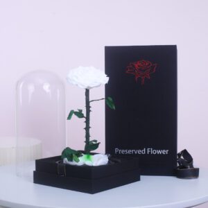 Single White Preserved Flowers