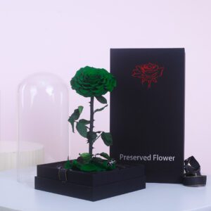 A preserved green rose in a glass dome, sitting on a black gift box. The dome contains a few smaller green rose petals at the bottom.