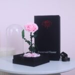 2Single-Pink-Forever-Rose
