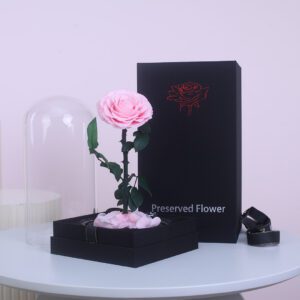 A single, preserved pink rose with a long stem and thorns, standing upright against a white background.