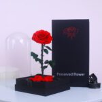 Single Red Forever Rose 2