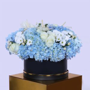 Elegant White Harmony