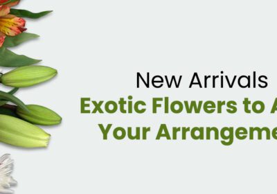 A banner showcasing a variety of exotic flowers, including lilies, chrysanthemums, and alstroemeria. The text "New Arrivals: Exotic Flowers to Adorn Your Arrangements" is displayed in a bold, green font. The image promotes the availability of new, unique flower varieties.