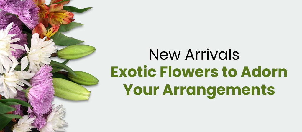 A banner showcasing a variety of exotic flowers, including lilies, chrysanthemums, and alstroemeria. The text "New Arrivals: Exotic Flowers to Adorn Your Arrangements" is displayed in a bold, green font. The image promotes the availability of new, unique flower varieties.