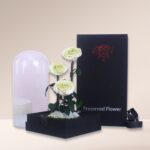 Green and White Forever Rose (2)