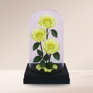 Green and White  Forever Rose