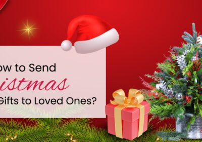 Send stunning Christmas flowers & gifts. Explore perfect festive bouquets and gift ideas for a joyous holiday season.