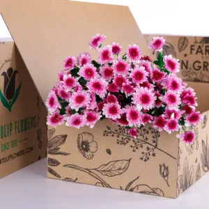 A cardboard box, printed with botanical illustrations and the text "BLACK TULIP FLOWERS
