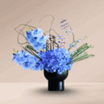 Blue Hydrangea