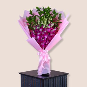 Blush Orchid Delight