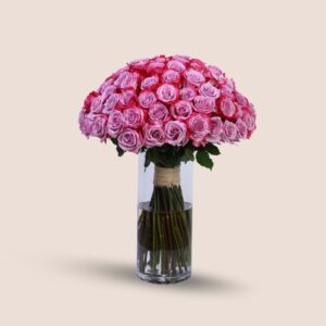 Fuchsia Fantasy 100 Roses