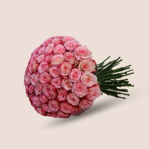 Pink Serenity 100 Roses