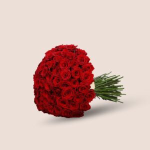 Scarlet Dream 100 Roses