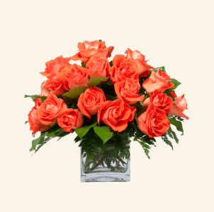 Orange Rose - June Flowers