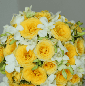 Yellow Rose - June flower