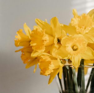 a bouquet of yellow daffodils in a clear glass vase